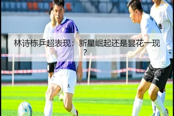 林诗栋乒超表现：新星崛起还是昙花一现？